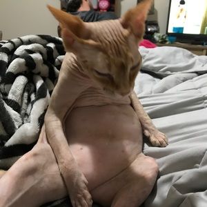 Meet your Posher, Kylee